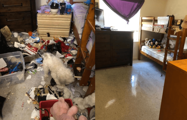 A recent home cleaning services job in the  area